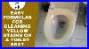 5_Easy_Formulas_For_Cleaning_Yellow_Stains_On_A_Toilet_Seat_01_bfh