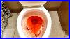 8_Toilet_Cleaning_Hacks_For_Lazy_People_Andrea_Jean_01_xj