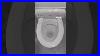 Automatic_Wc_Seat_Plastic_Cover_01_bz