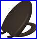 Classic_Colors_Slow_Close_Toilet_Seat_Easy_Clean_Hinges_and_Durable_Plastic_Sea_01_jrfg