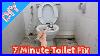 Diy_Easy_Clean_Toilet_Seat_In_Under_7_Minutes_01_bd