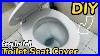 Diy_How_To_Remove_And_Replace_A_Toilet_Seat_Cover_Light_Duty_Toilet_Seat_Cover_Installation_01_ja