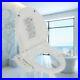 Electric_Bidet_Toilet_Seat_Dual_Nozzles_Dry_Warm_Massage_Heated_Anti_bacteria_US_01_jqyq