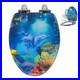 Elongated_Ocean_Resin_Toilet_Seat_Soft_Close_Quick_Release_Metal_Zinc_Alloy_01_lqiu