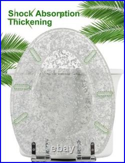 Elongated Resin Toilet Seat Glitter Silver, Slow Quiet-Close Lid and Seat, He