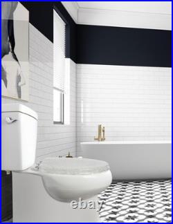 Elongated Resin Toilet Seat Glitter Silver, Slow Quiet-Close Lid and Seat, He