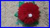 Flowers_Youtubeshorts_Shortsfeed_Video_Viralvideo_Shorts_Woolencraft_Wool_01_jo