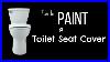 Hot_To_Paint_A_Toilet_Seat_Cover_01_aaa