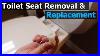 How_To_Remove_U0026_Replace_A_Toilet_Seat_01_cxgg