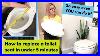 How_To_Replace_Your_Toilet_Seat_In_Under_5_Minutes_2020_Diy_Step_By_Step_Tutorial_01_sxc