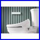 Kohler_C3_325_Premium_Elongated_Bidet_Toilet_Seat_With_Remote_Control_28119_0_01_inmp