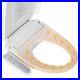 LONABR_Heated_Electric_Toilet_Seat_Smart_Bidet_Adjustable_Modes_with_Warm_Air_Dry_01_lnp