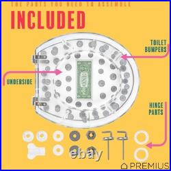 Polyresin Real Dollar Bill & Plastic Coins Money Toilet Seat By, Standard Ro