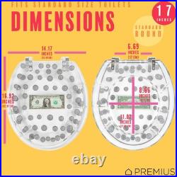 Polyresin Real Dollar Bill & Plastic Coins Money Toilet Seat By, Standard Ro