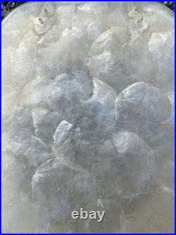 Rare Vintage Beige / Gold Tone Pearl Plastic Resin Toilet Seat