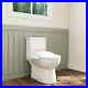 Smart_Toilet_Bidet_Seat_with_Warm_Water_Flush_Heated_Seat_Night_Light_Dryer_01_ddj