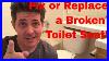 Toilet_Seat_Repair_Or_Replacement_01_tmsh