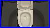 Toilet_Seat_With_Soft_Close_Hinges_01_dbqy