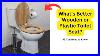 What_S_Better_Wooden_Or_Plastic_Toilet_Seat_Making_The_Best_Choice_For_Your_Bathroom_01_wswy